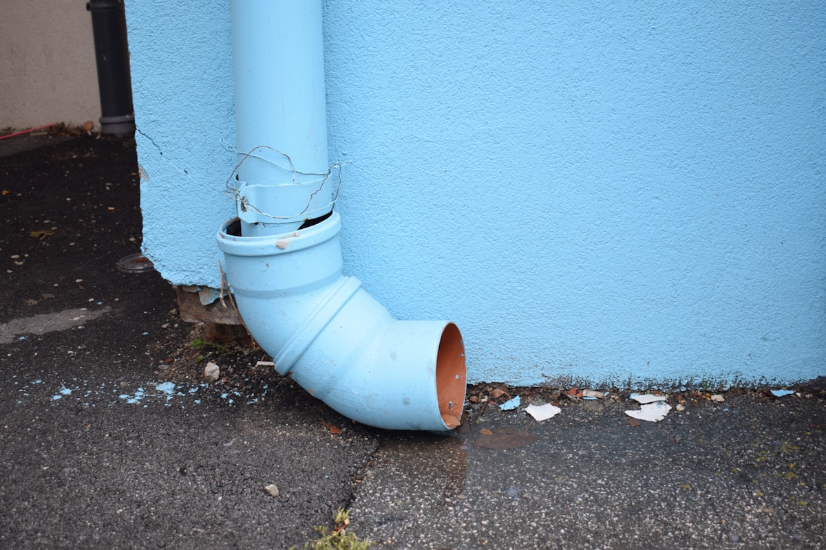 Mold Remediation service in Madera, CA