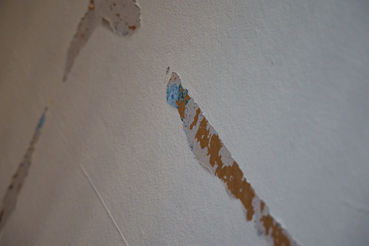 Flood Cleanup service in Madera, CA